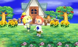 Animal Crossing: New Leaf, Customize Your World