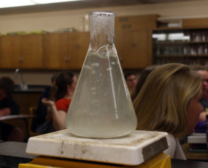 Chemistry is preparing to start a lab. The students are excited about this experiment. |Photo by: Annika Fountain