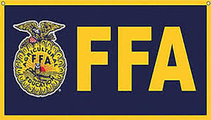 FFA Votes In New Officers