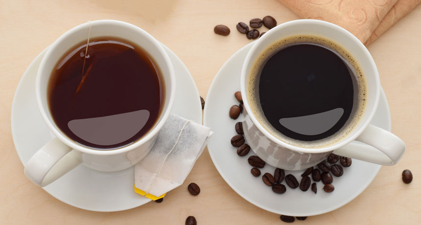 Coffee or Tea, Which is Better?