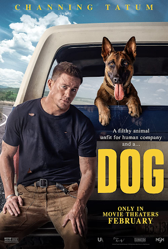 dog movie