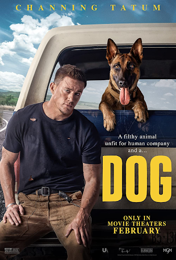 Dog Movie Lacks Adventure