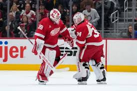 Islanders Fall to Red Wings 1-0