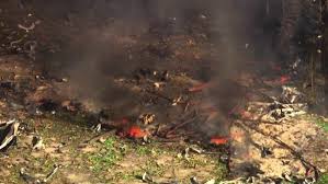 Munitions Factory Explosion Kills 16
