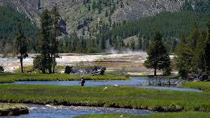 Trump Lifts Hunting Restrictions in National Parks